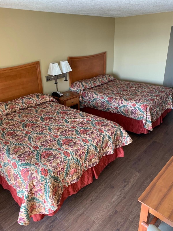 Sea Dunes Oceanfront Main image